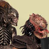 alien loves predator